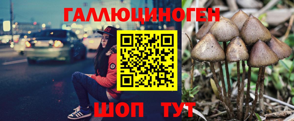 Новосибирск  Псилоцибиновые грибы Magic Shrooms  Вход с VPN  Псилоцибиновые грибы Psilocybe 