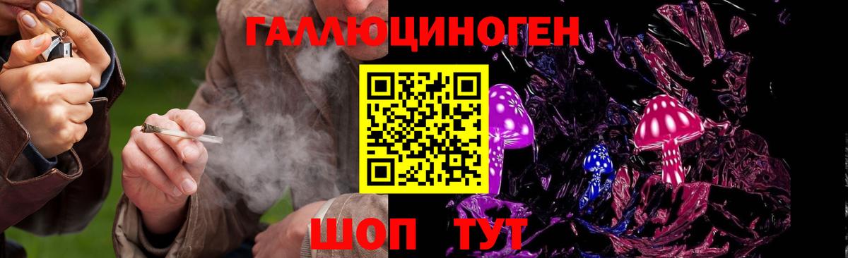 Галлюциногенные грибы мицелий Новосибирск